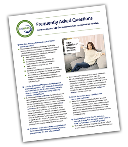 Graphic of FAQs Flyer